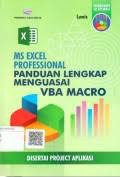 Ms excel professional